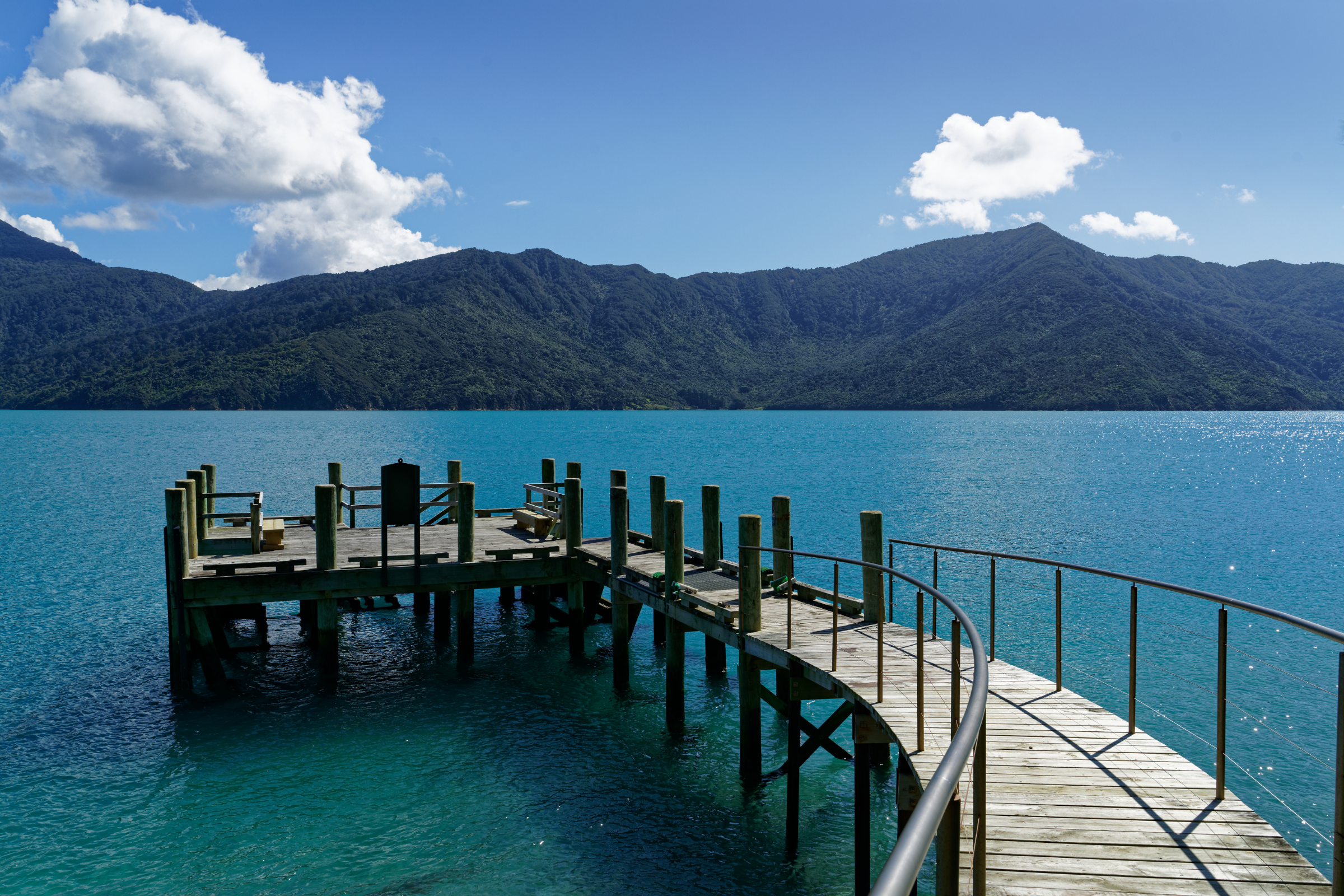 motuara island bird sanctuary, marlborough (2).webp